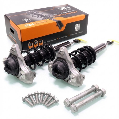 Jambe suspension - 2x, de