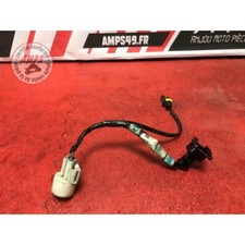 Faisceau moteur Triumph 675