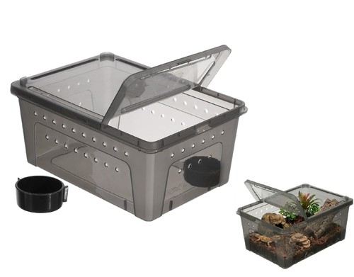 Terrarium pour reptiles - terrarium,