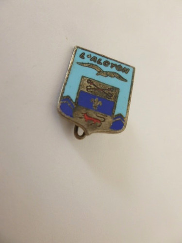 Insigne réduction marine - insigne,