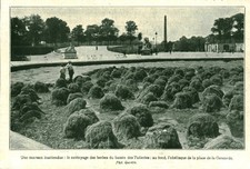 Document ancien bassin des