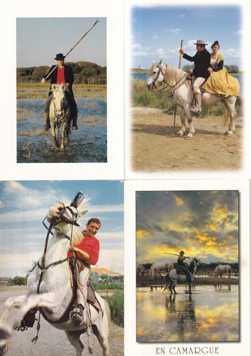 Lot cartes postales - lot,