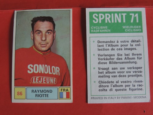 Raymond riotte panini - 86,