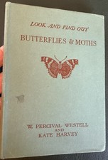 Butterflies & Moths.  Look and