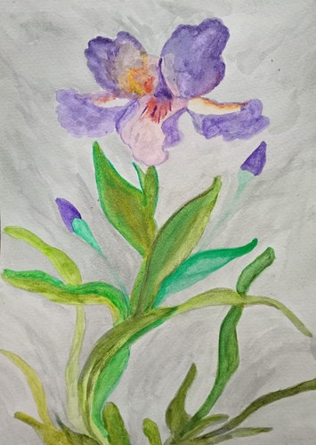 Peinture aquarelle sur papier - sur,
