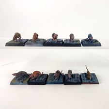 x10 Rats géants Plastique