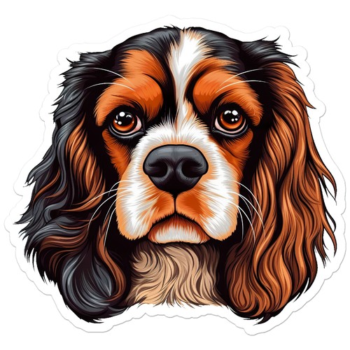 Cavalier king charles vinyl - cavalier,