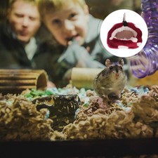  Accessoires Cage Furet Lit