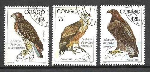 Animaux oiseaux rapaces congo - oiseaux,