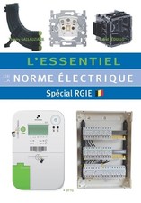 L'essentiel de la norme lectrique: Sp?cial RGIE by David Fedullo (French) Paperb