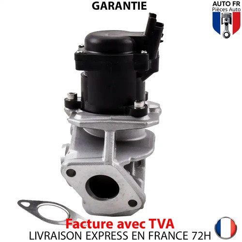 Vanne egr pour peugeot - vanne, sw