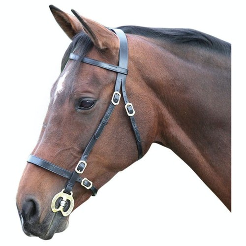 Blenheim bridon main pour - blenheim,