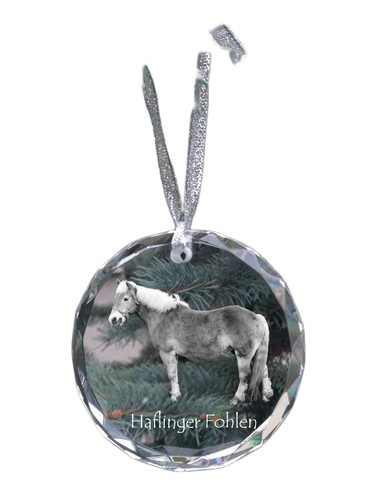 Haflinger fohlen collier - haflinger,