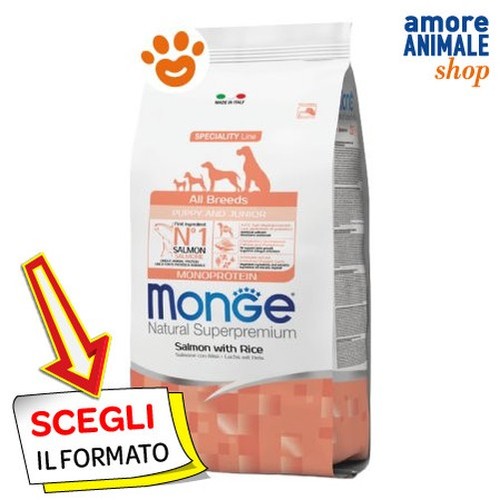 Monge chien naturel - chien,