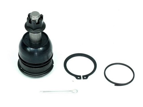 Traggelenk haut ford - traggelenk,