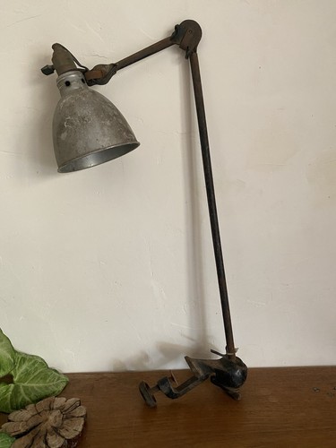 Lampe gras 201 dans son - lampe,