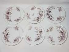 6 Stunning Antique 19th Century White Porcelain Bird Decor Plates