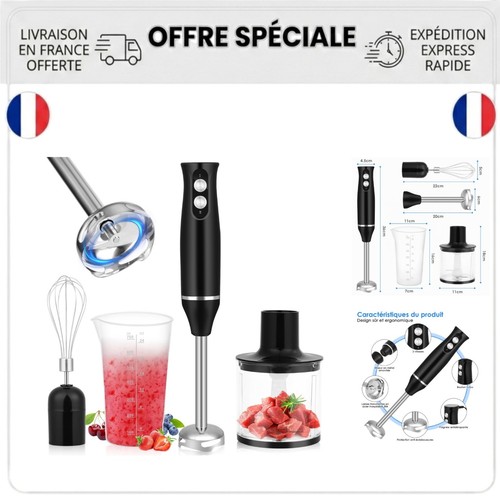 Mixeur plongeant 500 w - 500,