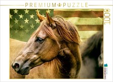 CALVENDO Puzzle American