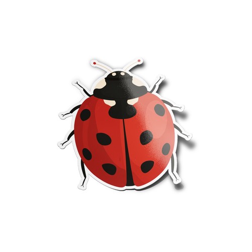Pack stickers - stickers,