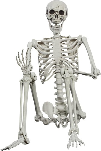 Squelette halloween 165 cm - squelette,