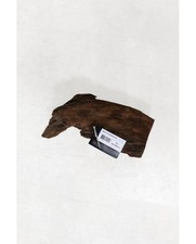 aquavie racine mangrove