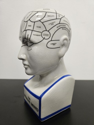 The human mind phrenology - mind,