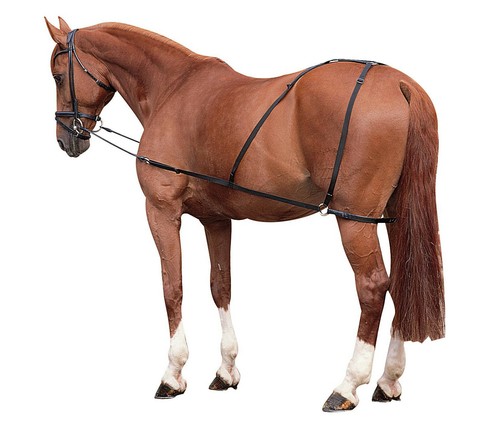 Système dressage la - de,