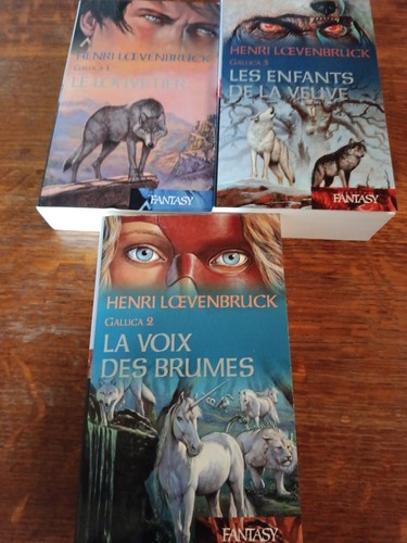 Lot livres roman - fantasy, t