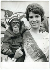 Press photo - the queen of fairgrounds and her monkey - 1961 throne fair Paris
