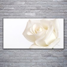 Image sur verre acrylique Tableau Impression 120x60 Floral Rose