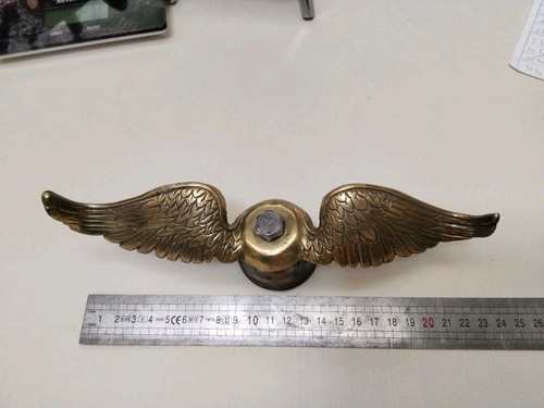Ailes bronze pour mascotte - ailes,