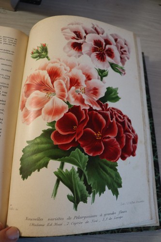 Revue horticole journal - revue,