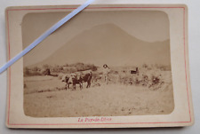 Photo Original Albuminé Paysan et Vache tirant la Charrue 63 Puy de Dome 1880