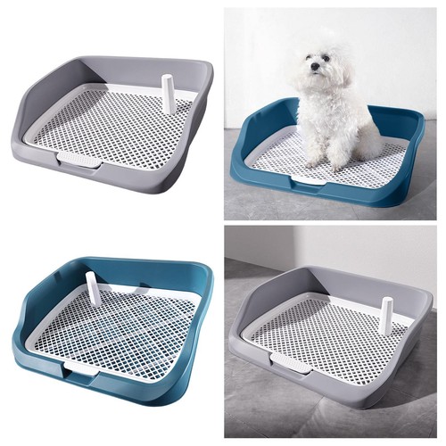 Bac litière pour chien - bac, à