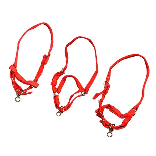 Licol entraînement corde - licol,