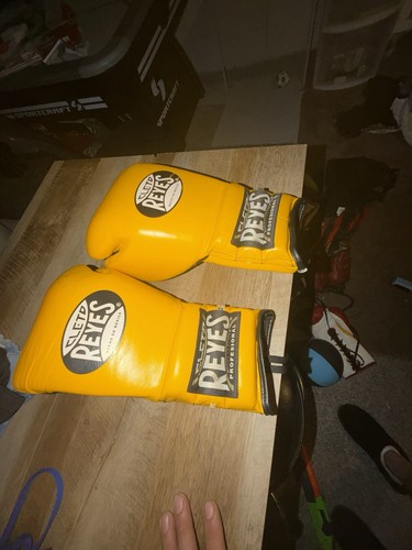 Cleto reyes sparring boxing - cleto,