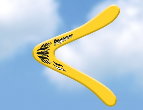 Pégase boomerang gunther - boomerang,