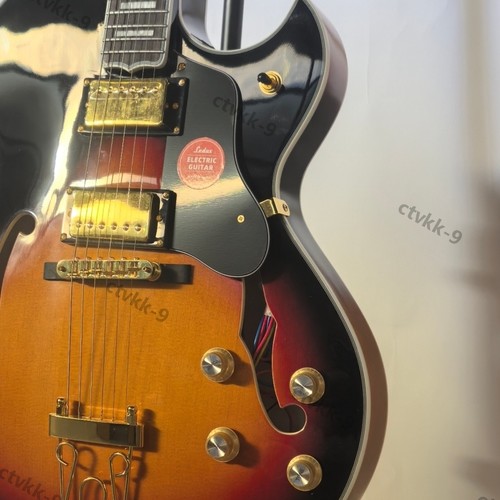 Hollow body guitare - hollow,