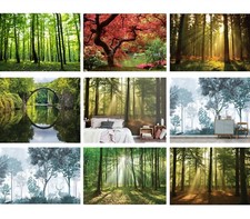 Murale D'Arbre De Forêt