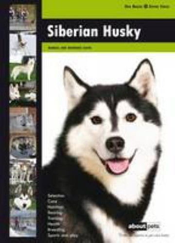 Siberian husky broché - siberian, À