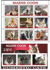 Stamp sheet+block Maine Coon Cat Korea 2020 issue