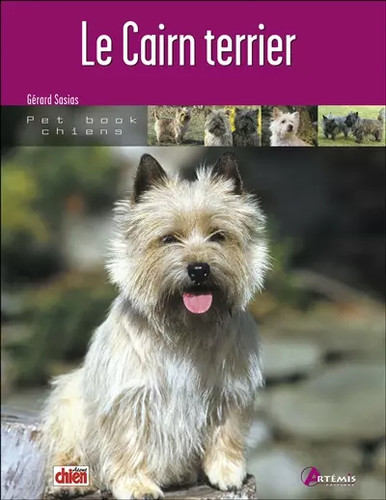 Cairn terrier - le,