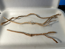 3 racines araignée 20cm  mangrove spider root souche bois decor aquarium 1111