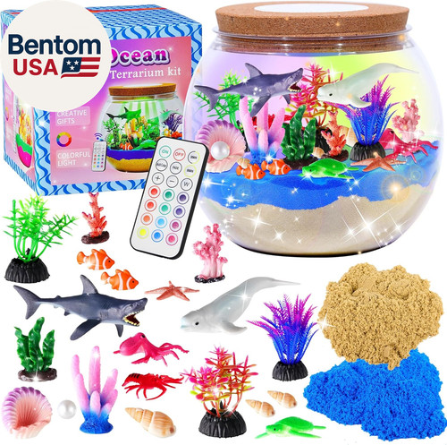 Ocean terrarium kit for kids - terrarium,