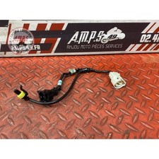 Faisceau moteur Triumph 675