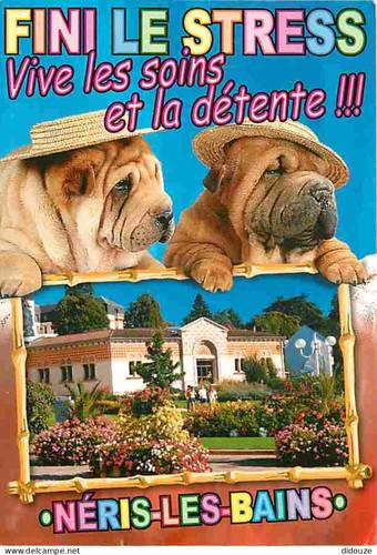 Carte postale animaux - carte,