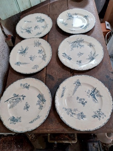 Assiettes dechoisy le - 6,