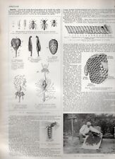 Larousse agricole ©1921-