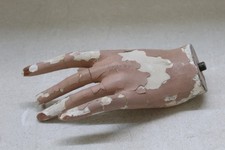 manequin Ladies  Left   Hand as i